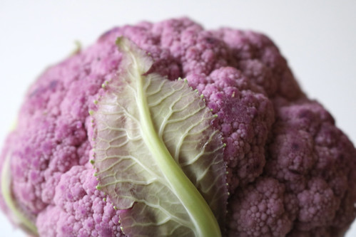 Vegetable Reference #39