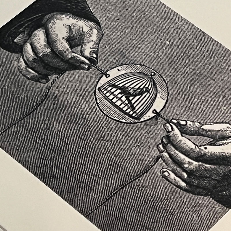 Thaumatrope animation