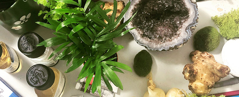 Imagined Environment Illustration, banner